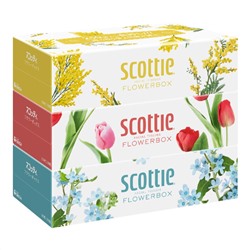 Scottie Салфетки Crecia "Scottie Flowerbox" двухслойные, 250 шт. х 3 коробки / 18