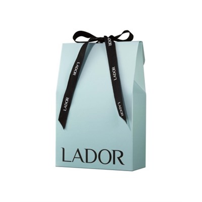 La'dor SMALL GIFT PACKAGE BLUE WITH RIBBON X 2 ROLLS Подарочный пакет