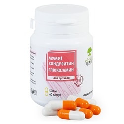 Комплекс "Мумиё, хондроитин, глюкозамин". Для подвижности суставов, 60 капсул по 500 мг
