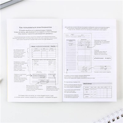 Умный блокнот для планирования финансов «Кот», формат А6, 68 листов.