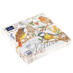 Салфетки бумажные "Art Bouquet" 33х33см, 3-х слойные, 20 штук в упаковке, 100% целлюлоза, "Птицы" (Россия)