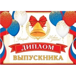 ДИПЛОМ выпускника ( РФ ) 3-26-232