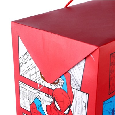Пакет-коробка, 40 х 30 х 15 см, упаковка, Человек-паук
