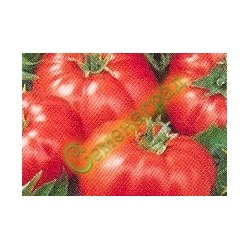 Семена томатов Вавилон (20 семян) Семенаград (Россия)