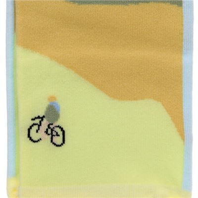 Носки женские "ARTE - Велосипедист" укороченные, с рисунком, микс
