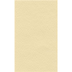 LANA Бумага для пастели «Lana Colours», 160 г/м², 21х29,7 см, 25 л, кремовый