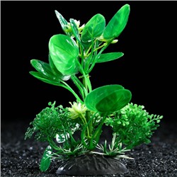Растение искусственное аквариумное, 10 см, зелёное