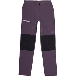 Брюки детские TROUSERS FNK  F097