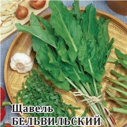 Щавель Бельвильский 25,0 г (цена за 1 шт)