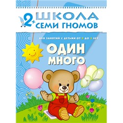 ШСГ Третий год обучения.Один много.