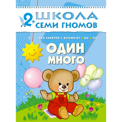 ШСГ Третий год обучения.Один много.