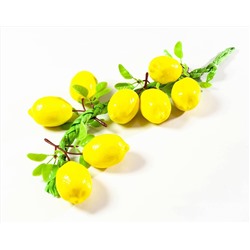 Связка лимона