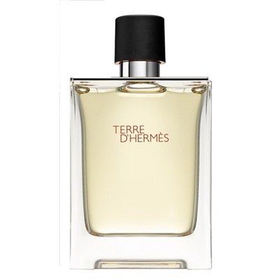 Hermes Terre D'Hermes edt for men 100 ml A-Plus