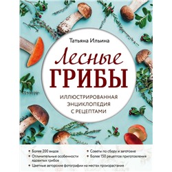 Лесные грибы. Иллюстрированная энциклопедия с рецептами Ильина Т.А.