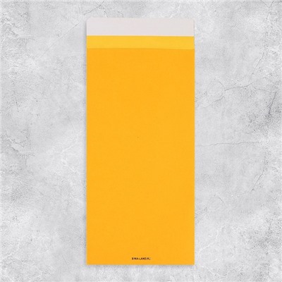 Подарочный конверт, «С Днем рождения!», тиснение, дизайнерская бумага, 11 × 22 см