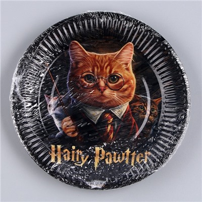 Тарелка одноразовая бумажная "Happy Birthday", волшебный кот, 18 см