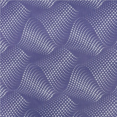 Постельное бельё 2 сп Иллюзия, сине-фиолетовый, 175х210 см, 175х210 см, 70х70 см 2шт, бязь, 105 г/м, 100% хлопок