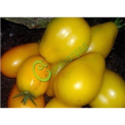 Семена томатов Аветиняй - 20 семян Семенаград (Россия)