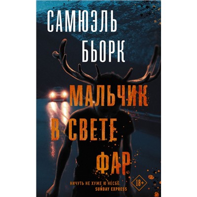 Мальчик в свете фар Бьорк С.