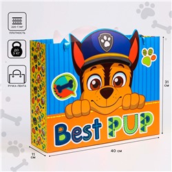 Пакет подарочный "Best pup" 31х40х11 см, упаковка, Щенячий патруль