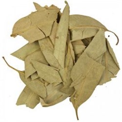 Эвкалипт прутьевидный (лист)