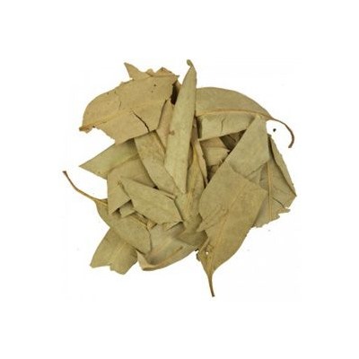Эвкалипт прутьевидный (лист)