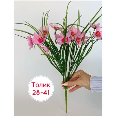 Букет  36 см ☘1 букет : 6 голов 18 цветок
