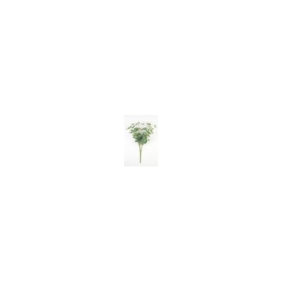 Искусственные цветы, Ветка в букете эвкалипта (1010237) зеленый