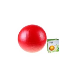 Мяч гимнастический d= 55 см 650гр PVC микс