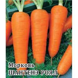 Морковь Шантенэ Роял 25,0 г (цена за 1 шт)