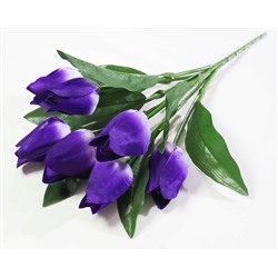 Тюльпан "Синичка" 7 цветков