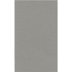 LANA Бумага для пастели «Lana Colours», 160 г/м², 21х29,7 см, 25 л, холодный серый