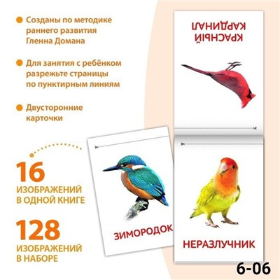 Книги Карточки Домана. 02.08.