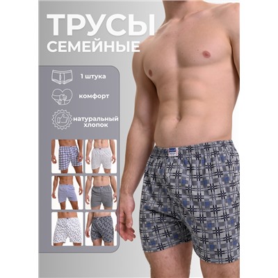 Мужские трусы семейные Berrak