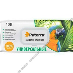 Влажные салфетки 100шт,с крышкой "Paterra" (14)