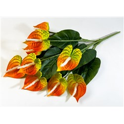 Букет калл "Пегас" 9 цветков