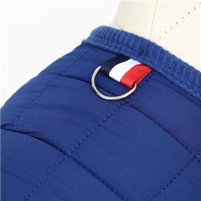 Куртка для собак "Nice", размер  XL (ДС 38 см, ОШ 38 см, ОГ 48 см), синяя