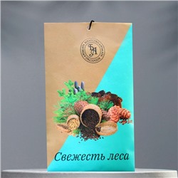 Аромасаше "Свежесть леса", 10 г, "Богатство Аромата"