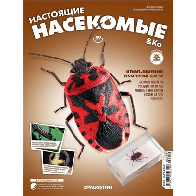 Журнал №59 "Настоящие насекомые" С ВЛОЖЕНИЕМ! Клоп-щитник