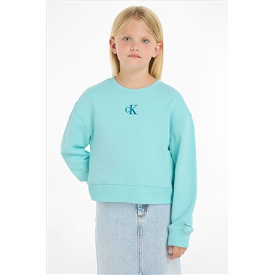 Calvin Klein Blue Logo Sweatshirt