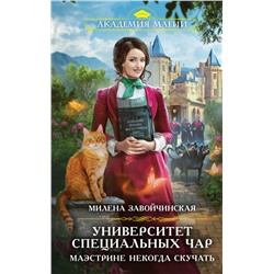 Университет Специальных Чар. Маэстрине некогда скучать Завойчинская М.В.