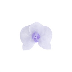 "BLITZ" 43 Цветок Орхидея 4 шт №17 бело-сиреневый