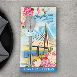 Ложка с гравировкой на открытке «Владивосток», 3 х 14 см