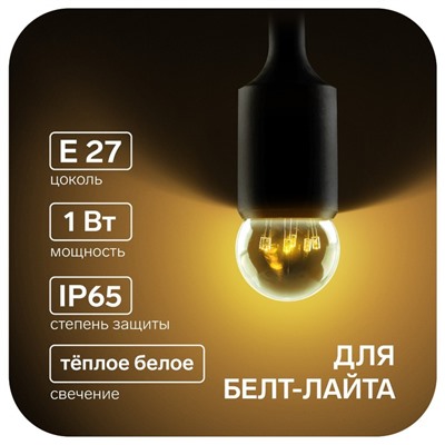 Лампа светодиодная, 6 LED, G45, Е27, 1 Вт, для белт-лайта, т-бел, наб. 10 шт