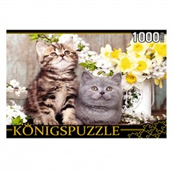 Пазлы 1000 элементов 485*685 Рыжий кот Konigspuzzle Котята в весенних цветах ШТK1000-0647 (20)