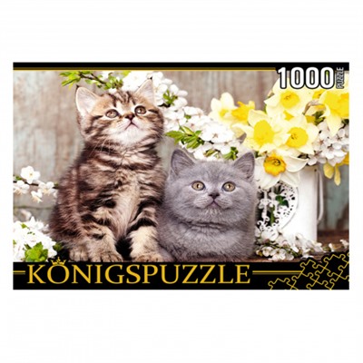 Пазлы 1000 элементов 485*685 Рыжий кот Konigspuzzle Котята в весенних цветах ШТK1000-0647 (20)