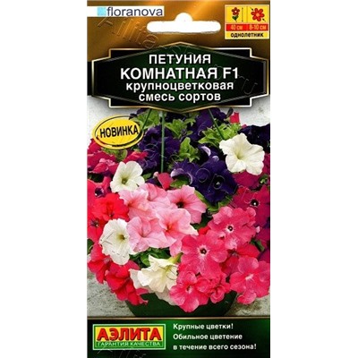 Петуния Комнатная крупнцветковая F1 (смесь) (Код: 90342)