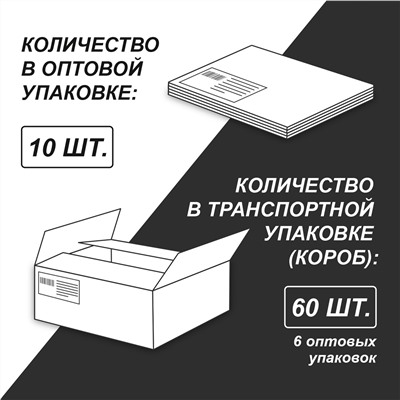 "Светоч" 48ТПСКд5_0_2_1 Тетрадь со справочным материалом "Доска желаний", A5+ 48 л. на скобе 60 г/кв.м , белизна 90 % 10 шт. , клетка 000520 Информатика