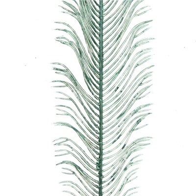 Ветка декоративная "Волшебное перо" 53 см, Нежный зеленый