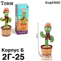 Танцующий кактус13.09.